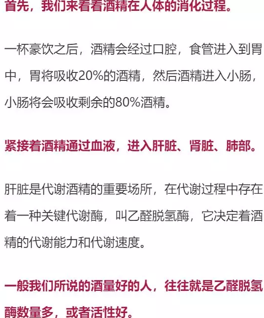 喝多少酒開(kāi)車算酒駕？喝完酒多久能開(kāi)車？這組數(shù)據(jù)，都說(shuō)明白了